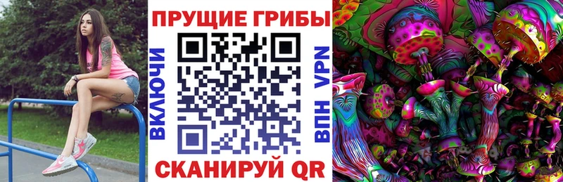 Псилоцибиновые грибы GOLDEN TEACHER Обнинск