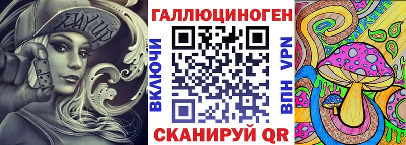 закладка Обнинск Галлюциногенные грибы Psilocybine cubensis